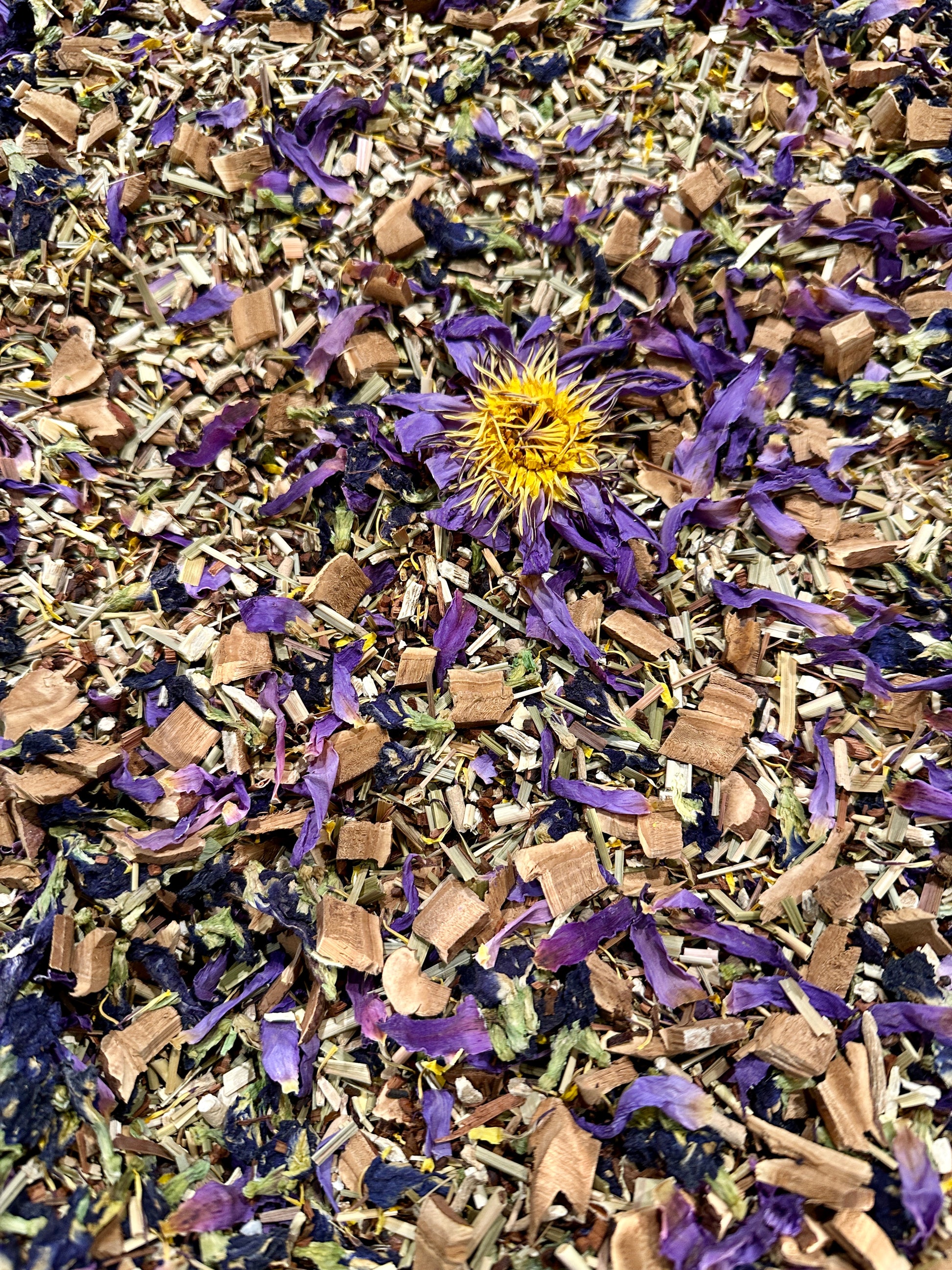 Reishi Blue Lotus Calm Tea