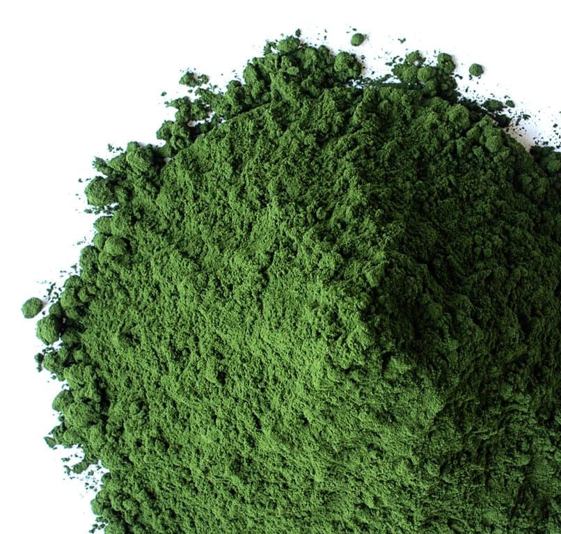 Chlorella Powder