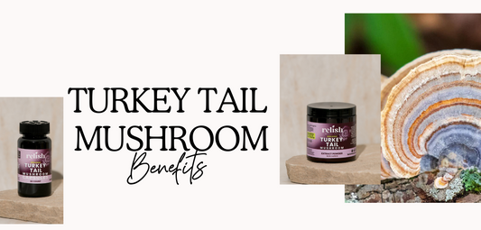 Unlocking Wellness: Turkey Tail Mushroom's Powerful Benefits