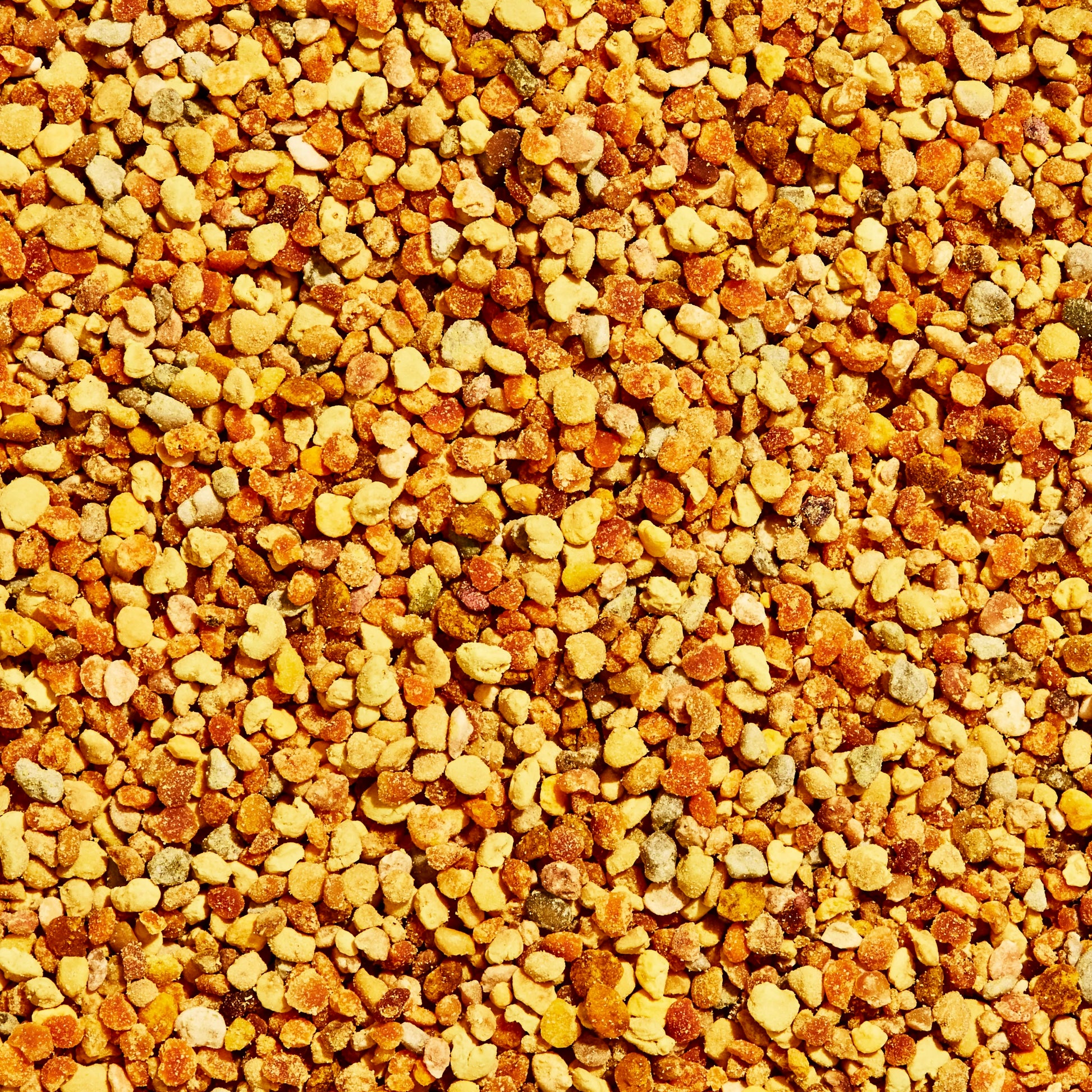 Bee Pollen Granules