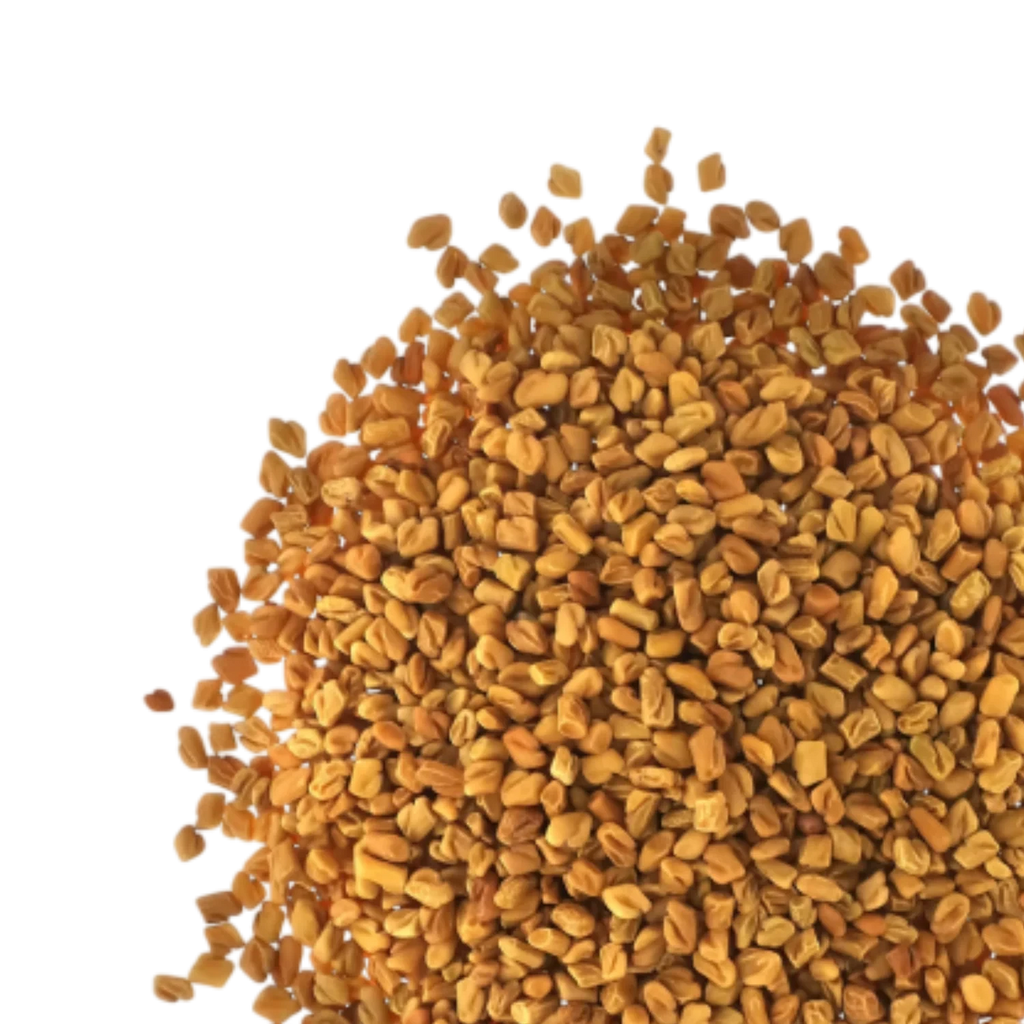 Fenugreek Seeds RM