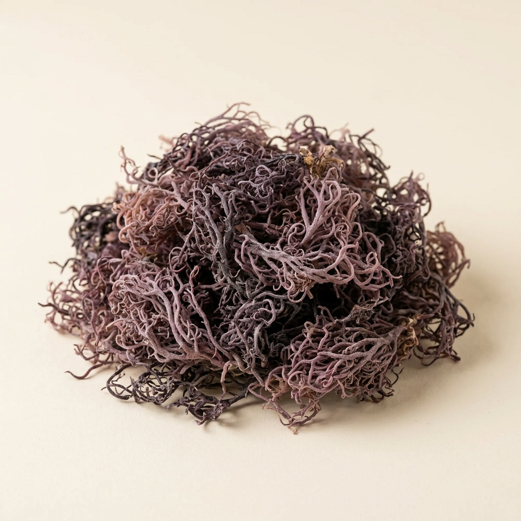 Mound of raw dried purple sea moss on a neutral light beige background.