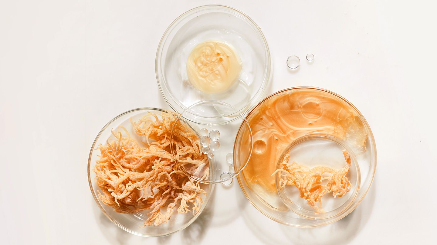 Raw sea moss and sea moss gel in clear glass bowls on white background