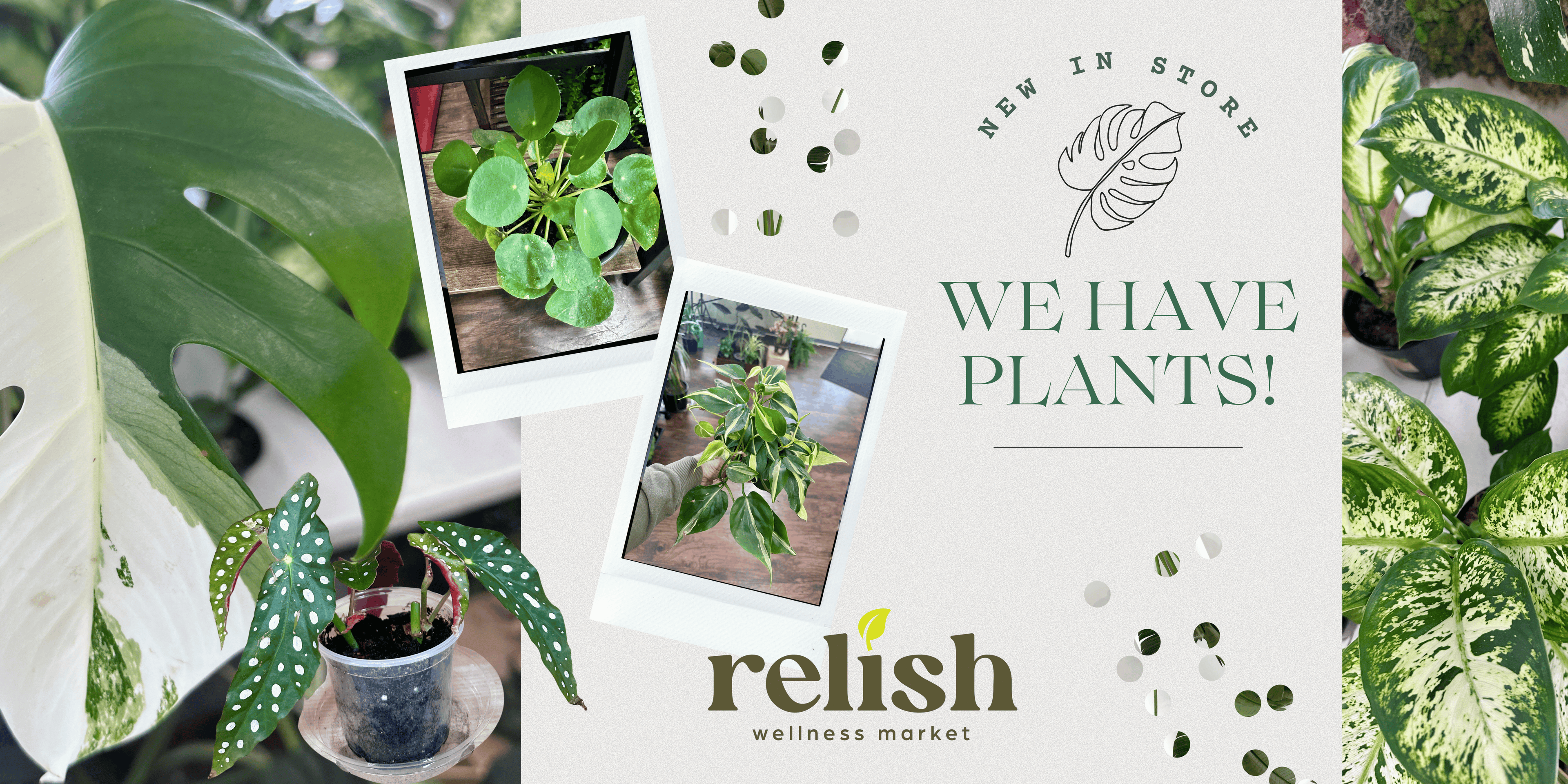 Promotional sign for relish wellness market with images of plants and text 'New in store. We have plants!'.