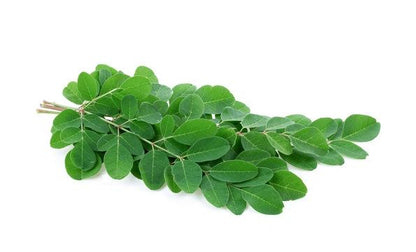 Moringa Leaf Organic